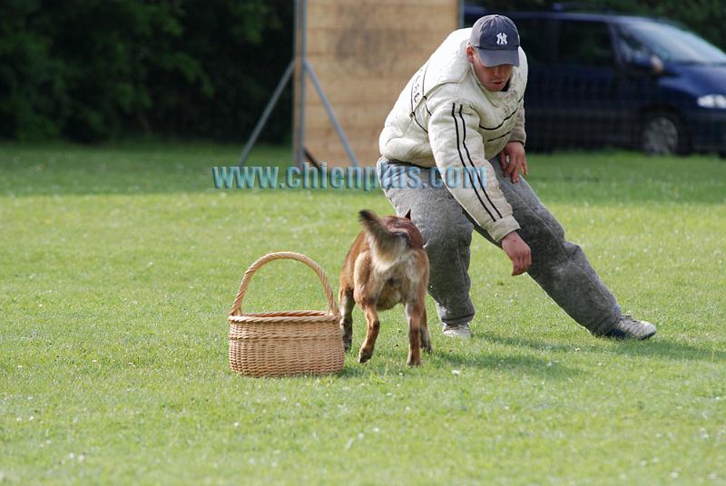 SELECTIF BEAUVAIS 2009 455.jpg